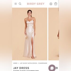 Birdy Grey Jay Champagne Dress Size Small